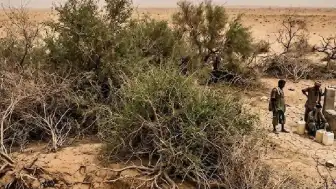 Afrika ve Asya'da Çölleşmeyle Mücadele Projeleri Çevre Krizine Yol Açtı