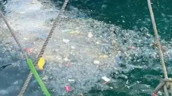 Akdeniz'de Oksijen Seviyesi Tehlikeye Düştü: ODTÜ Uzmanları Uyarıyor