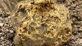 Alaska'da Bulunan 9 Kiloluk Altın Külçesi Müzayedede 750 Bin Dolara Satıldı
