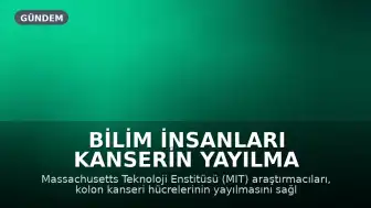 Bilim insanları kanserin yayılma mekanizmasını çözdü: Yüksek yağlı beslenme tümör büyümesini tetikliyor