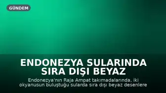 Endonezya Sularında Sıra Dışı Beyaz Desenlere Sahip Dev Manta Vatozu Görüldü