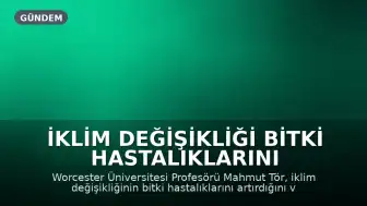 İklim Değişikliği Bitki Hastalıklarını Artırıyor: Yeni Nesil Biyopestisitler Öne Çıkıyor