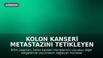 Kolon Kanseri Metastazını Tetikleyen Mekanizma Keşfedildi