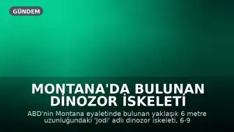 Montana'da Bulunan Dinozor İskeleti Milyonlarca Dolara Satışa Çıkıyor