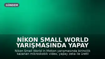 Nikon Small World Yarışmasında Yapay Zeka Tartışması: Birincilik Ödülü Alan Video İnceleniyor