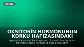 Oksitosin Hormonunun Korku Hafızasındaki Rolü Keşfedildi