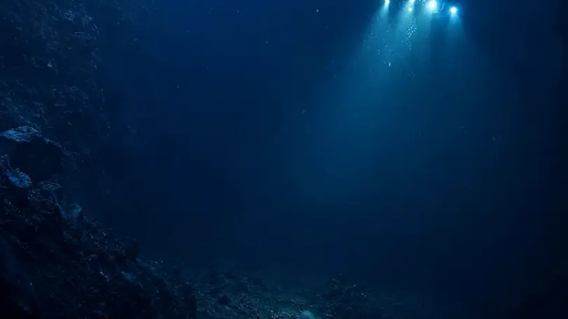 Okyanusun 6 Kilometre Altında Yeni Bir Deniz Salyangozu Türü Keşfedildi