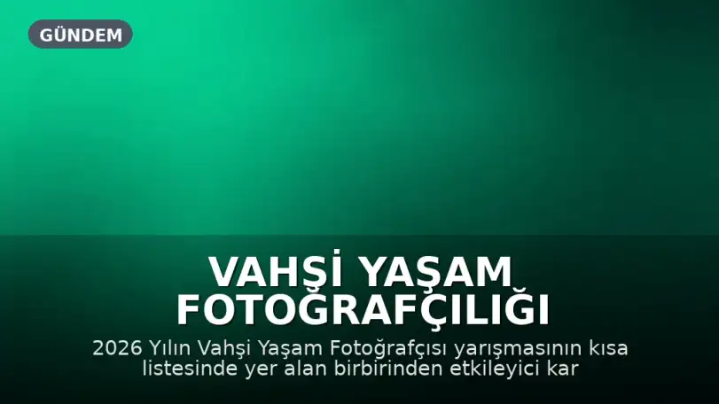 Vahşi Yaşam Fotoğrafçılığı Yarışması 2026 Kısa Listesi: Kutup Ayısı ve Sincap Görüntülendi