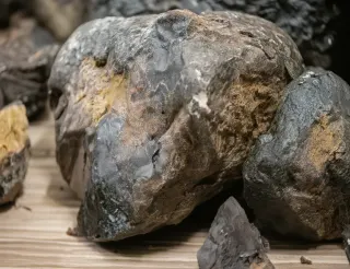 Ambergris: Çöp Sanılan Ancak Değeri Milyonları Bulan Deniz Kehribarı