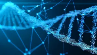 180 Yıl Sonra DNA ile Kimlikleri Belirlenen Denizcilerin Hikayesi
